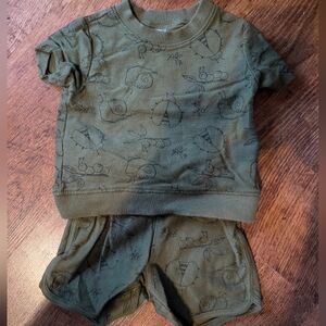 Carter's Short sleeve shirt and matching shorts green bugs 18 mos